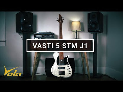 Vasti 5 STM J1(Steve Treguier Signature)